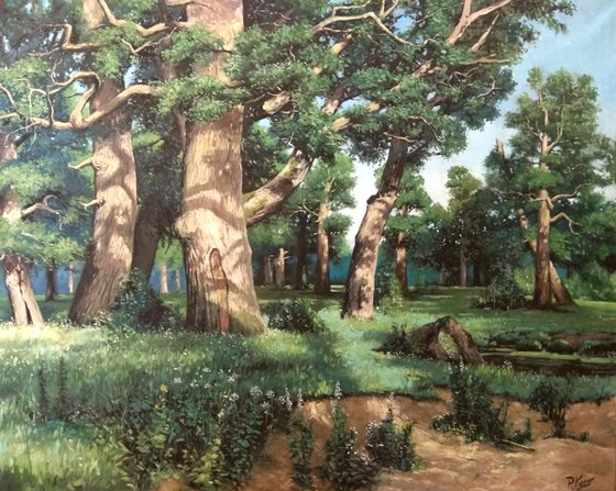 Oak forest