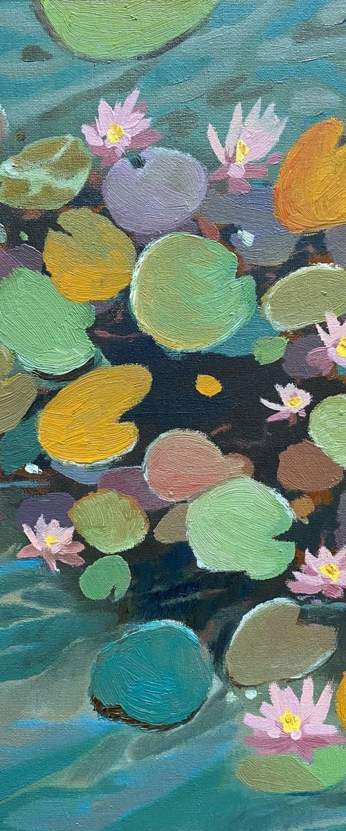 Water lilies by Bohdan Vykhrenko
