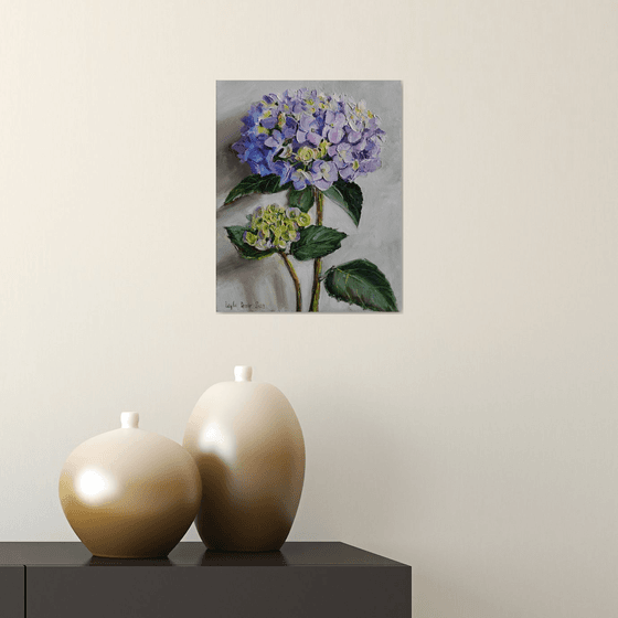 Purple hydrangea flower