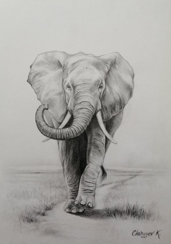 Elephant