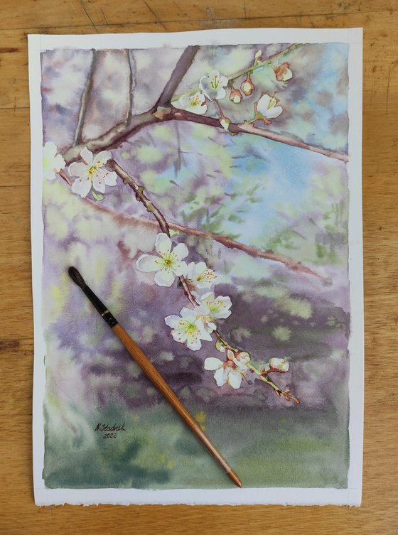 Ukrainian watercolor. Cherry blossom. Stolen spring