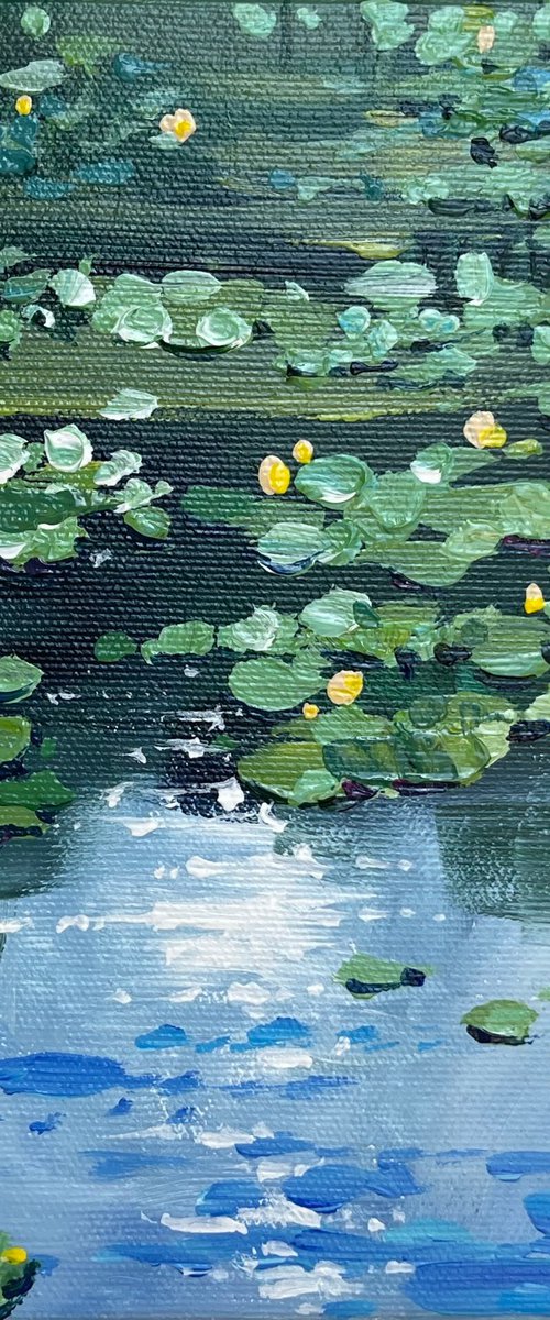 Water lilies. Small pond by Yevheniia Salamatina