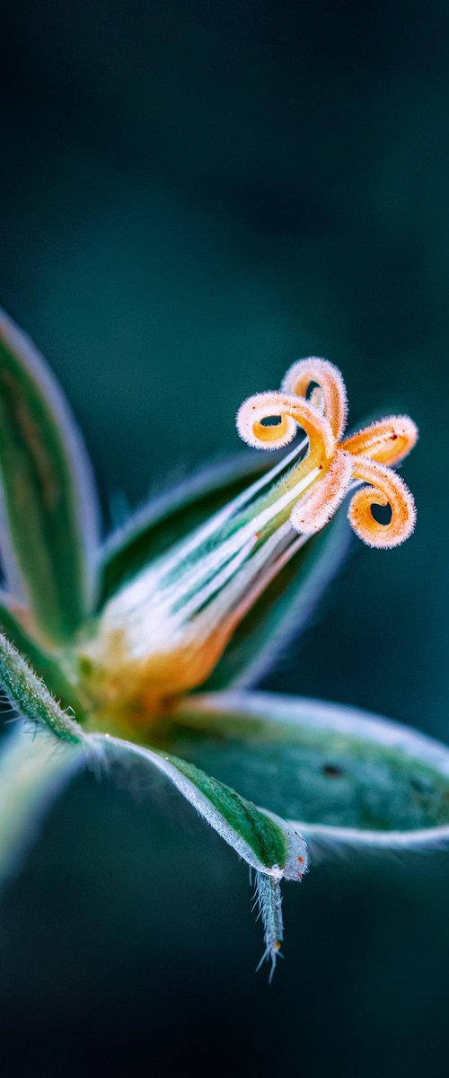 Blues by Inna Etuvgi