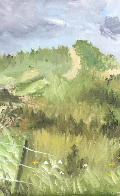 Sand Dunes in Ireland by Julian Lovegrove Art