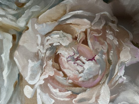 Luxury peony