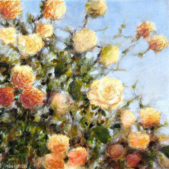Yellow roses - flowers in a garden
