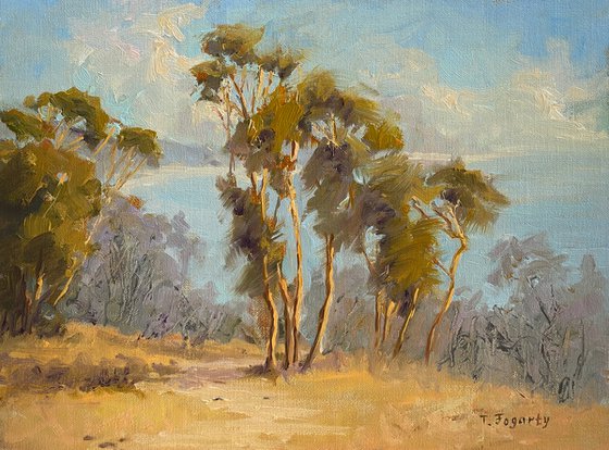 Laguna Breeze Landscape