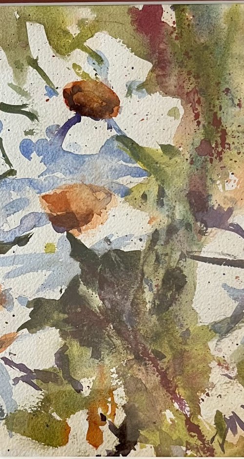 Wild Daisies by Vicki Washbourne