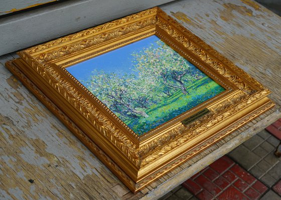 Apple tree in bloom. Kolomenskoye