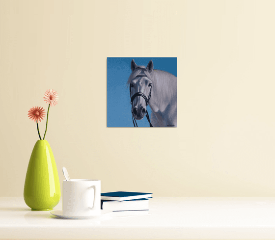 Horse Portrait 48