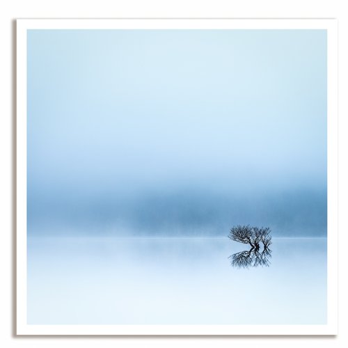 Lost in the Mist by Lynne Douglas