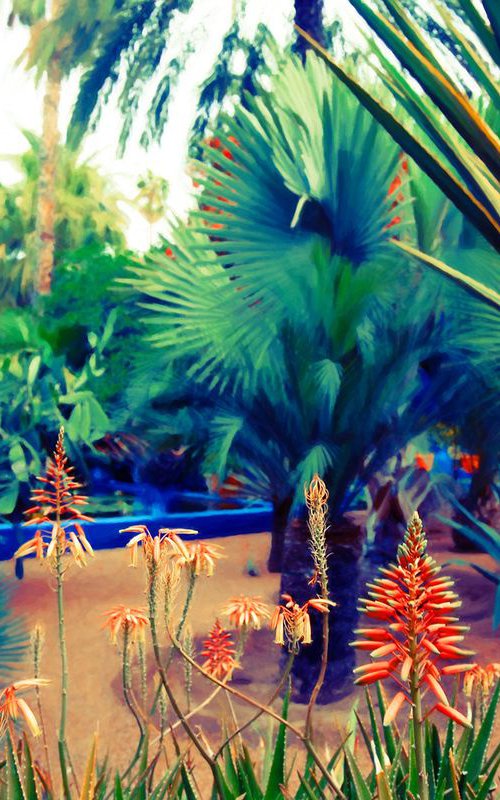 Majorelle Wild by Nadia Attura