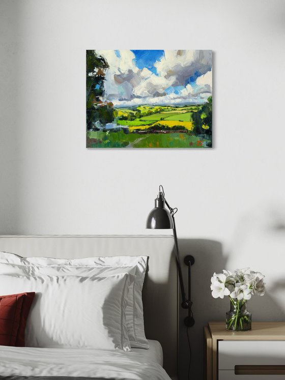 Fields Under Flying Clouds