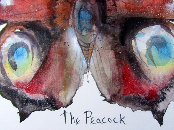 The Peacock (Vanessa io)