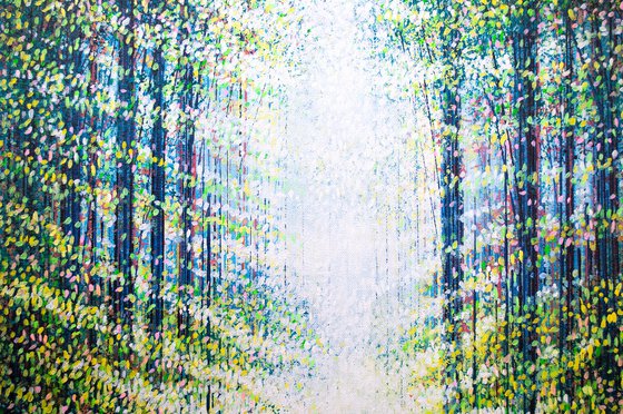 Sunlit Summer Forest Path