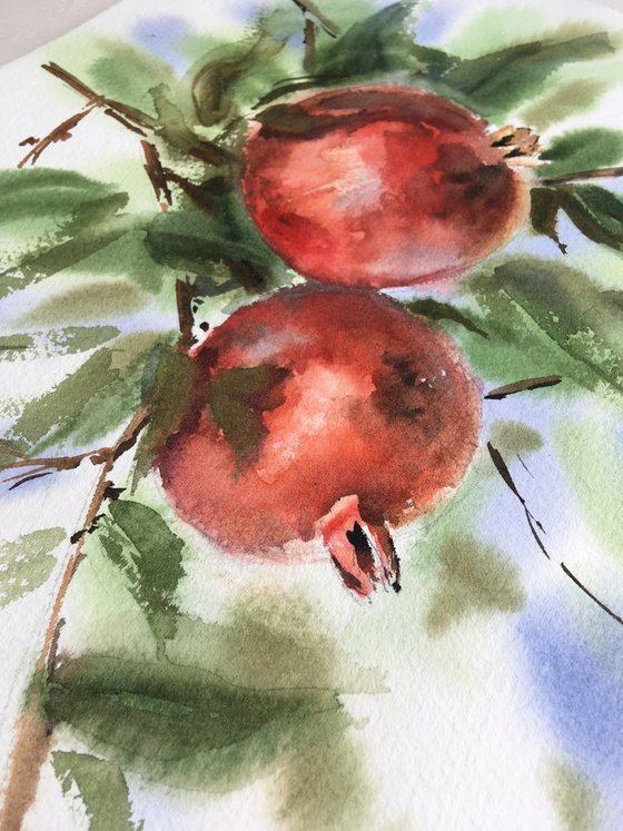 Pomegranate, 28x38 sm, watercolor, red, stilllife, gift, medium size