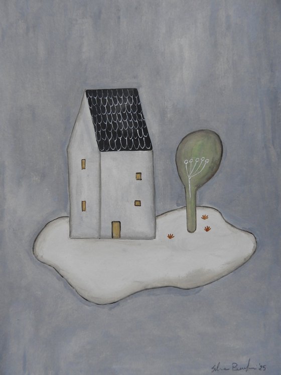 The house in the night