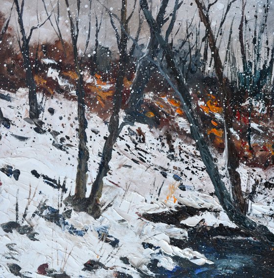 River in the snow