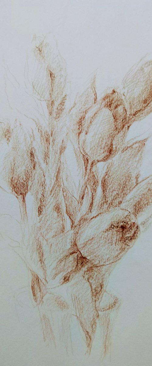 Tulipes #1. Original pencil drawing. by Yury Klyan