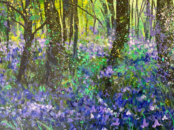 Haigh Bluebells