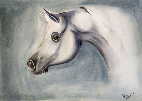 Horse by Olga Shefranov (Tchefranov)