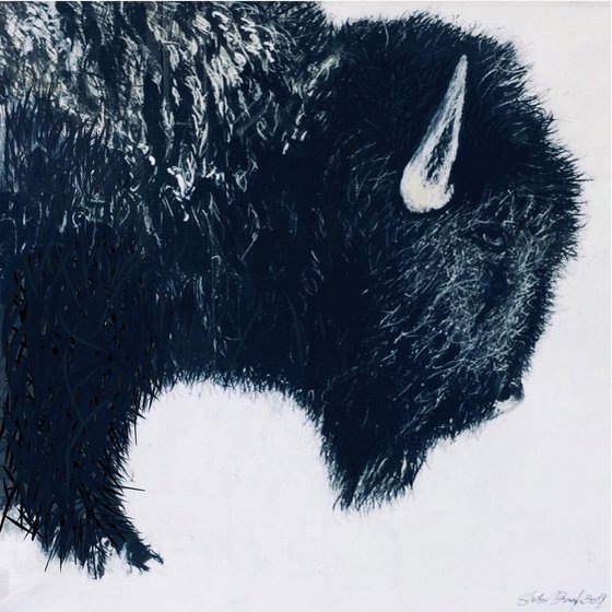 Bison Head