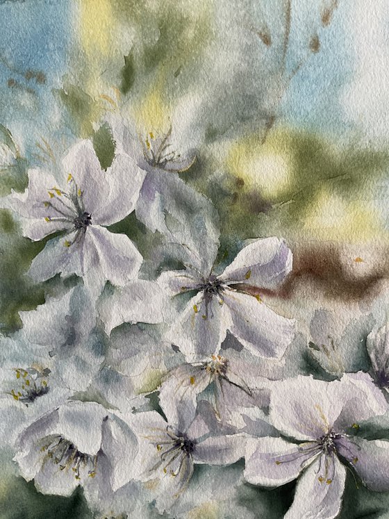 Cloudy spring