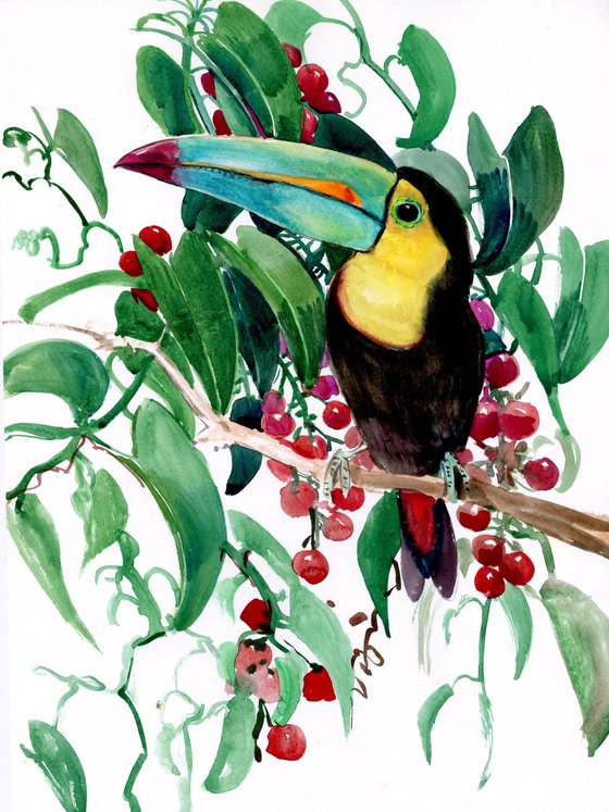 Toucan in the jungle