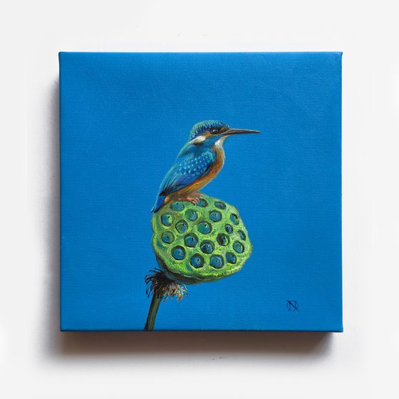Kingfisher Bird