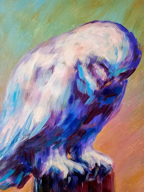 White polar owl Birds art