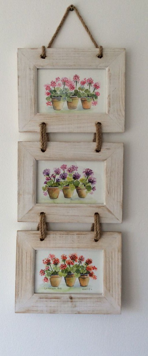 Geranium Pots by Angela Rendall