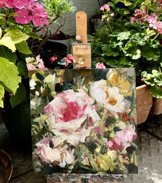 Summer Roses