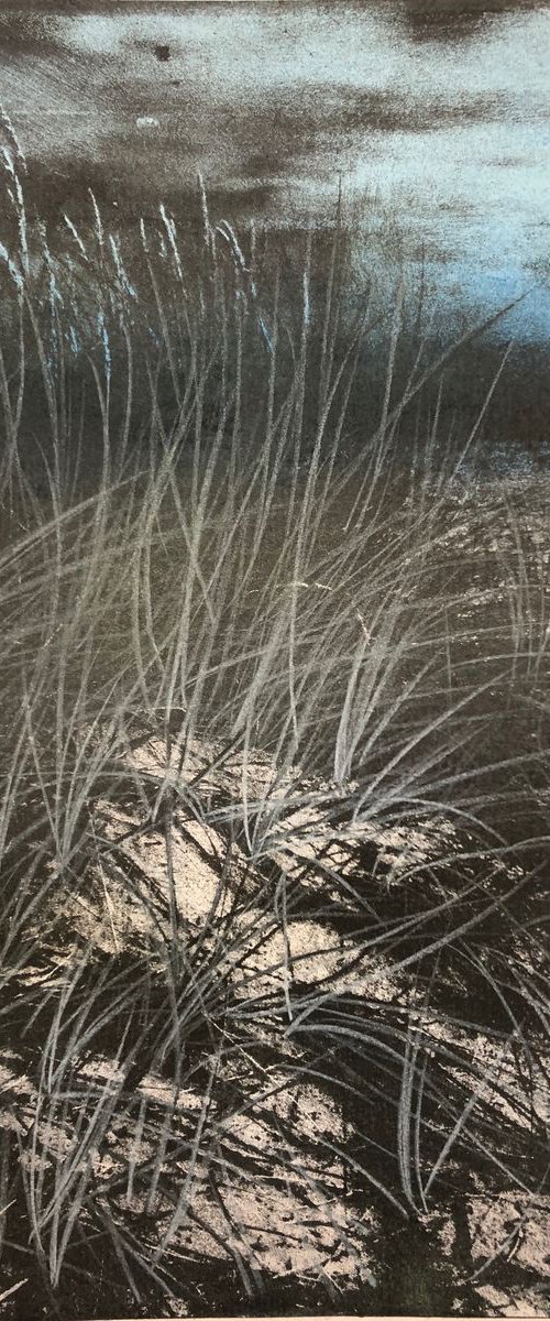 Tempted - Dusk, Dunes by Diane McLellan