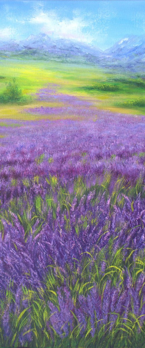 Provence lavender by Ludmilla Ukrow