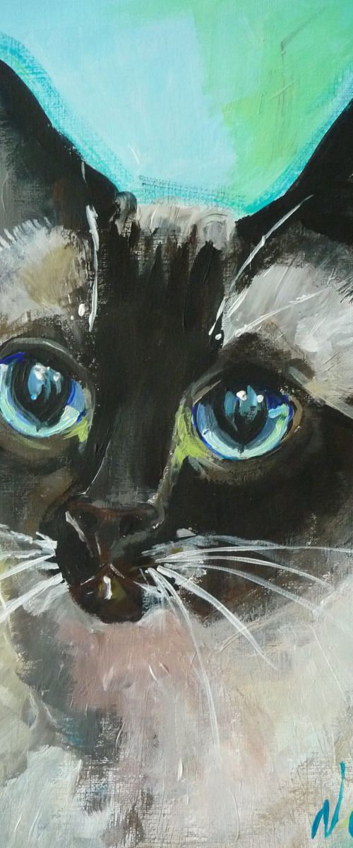Cat portrait by Jelena Nova