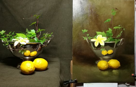 Still life with ivy, lemons and frangipani