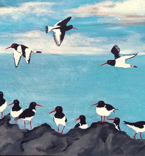 Oystercatcher Hang Out by Monica Green
