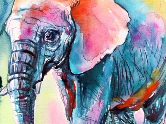 Elephant at night