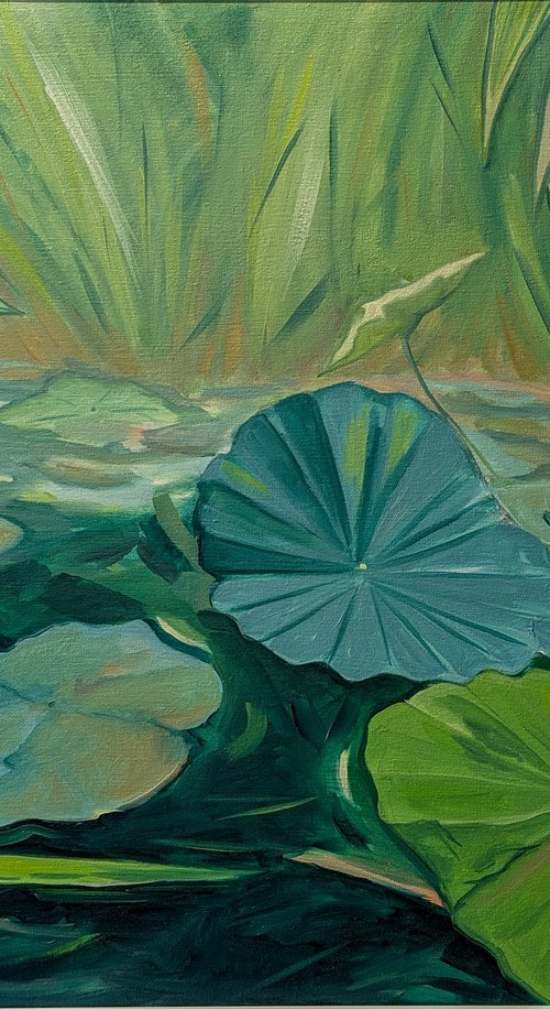 Lily Pads by Lucy Fiona Morrison