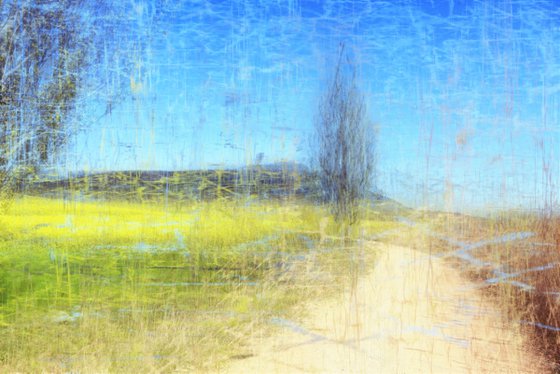 yellow April sommer landscape