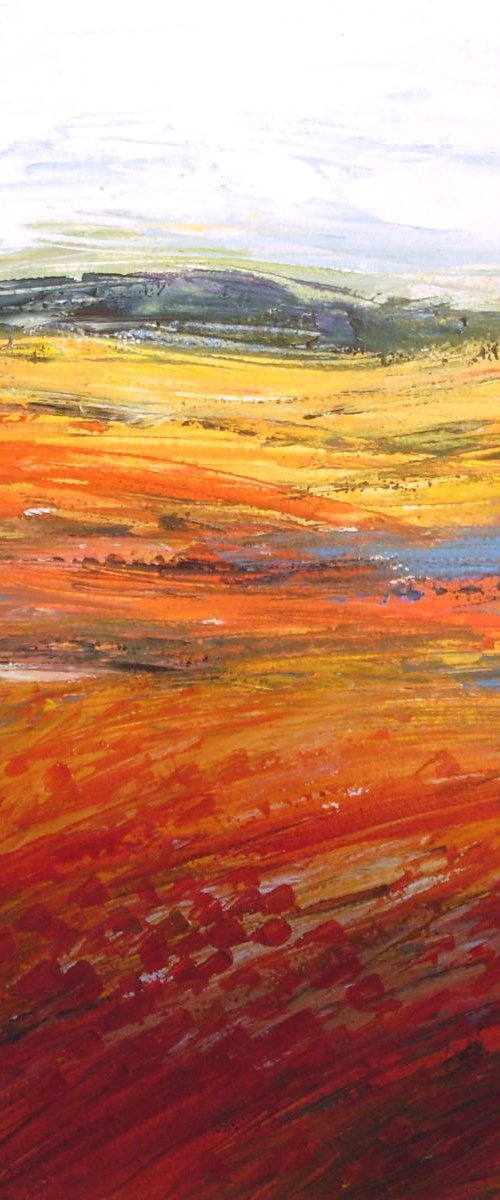Poppy Field 7 by Jan Rippingham