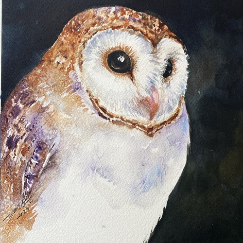 Tammy_ Barn Owl by Arti Chauhan