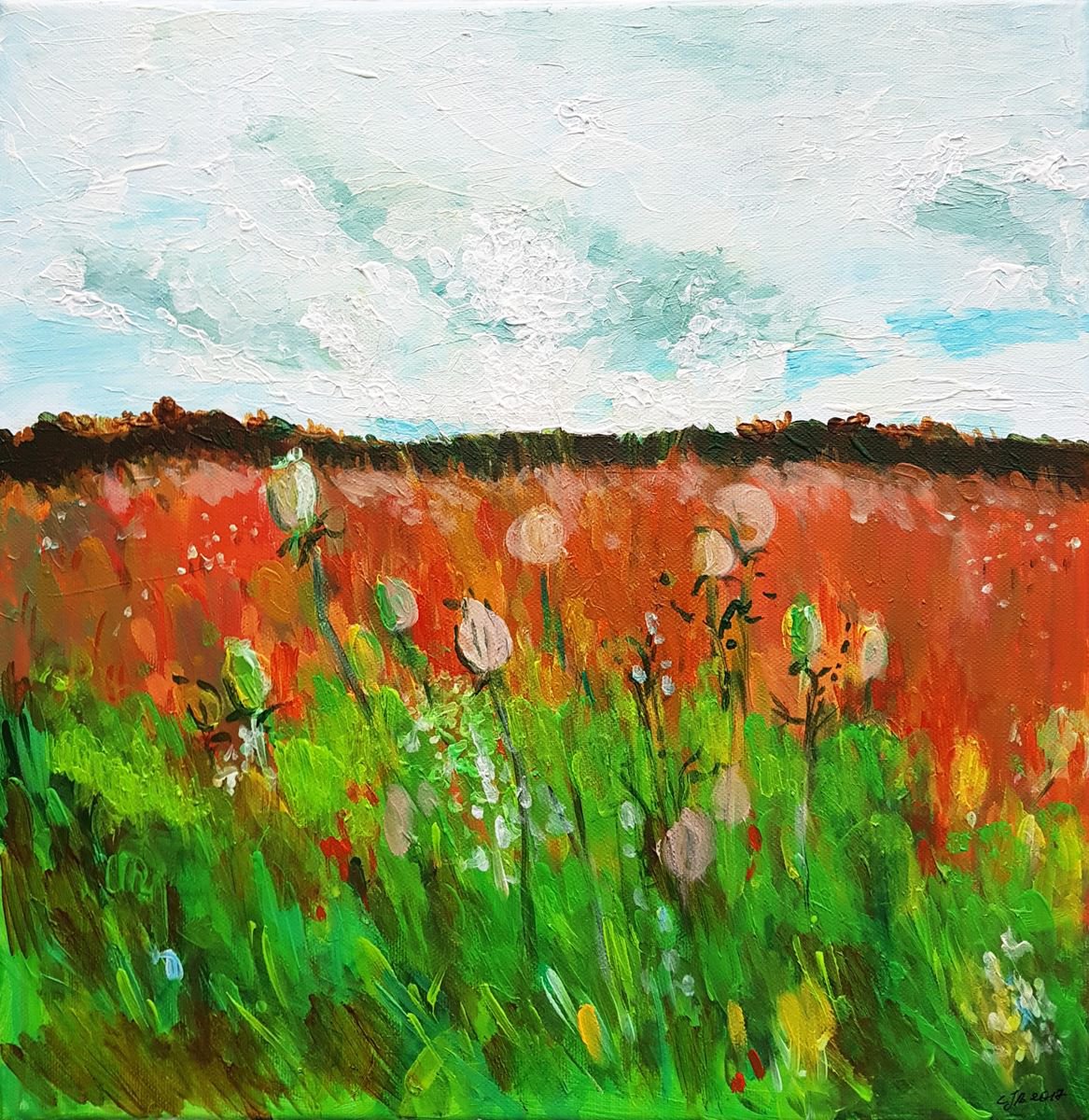 Buckwheat field by Lolita Jachimoviciene-Bazuriniene