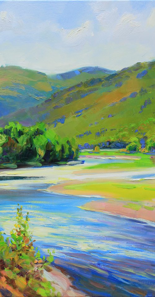 "Summer shine" by Alisa Onipchenko-Cherniakovska