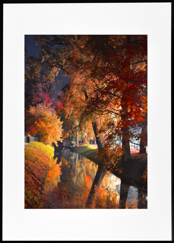 " Autumn color palette "   Limited Edition 1 / 50