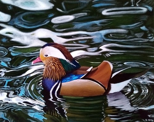 Mandarin duck acrylic painting 16"x20" by Barry Gray
