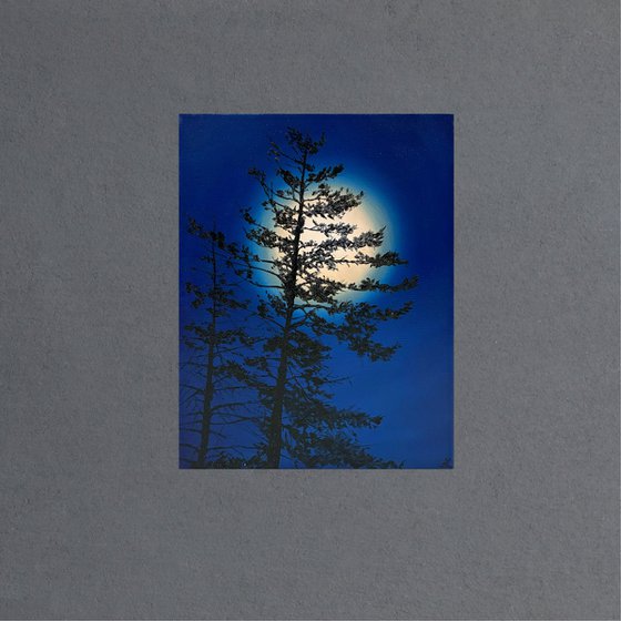 Nocturnal Pines