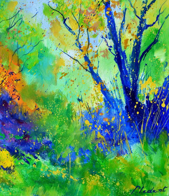 Light in the woode 5624