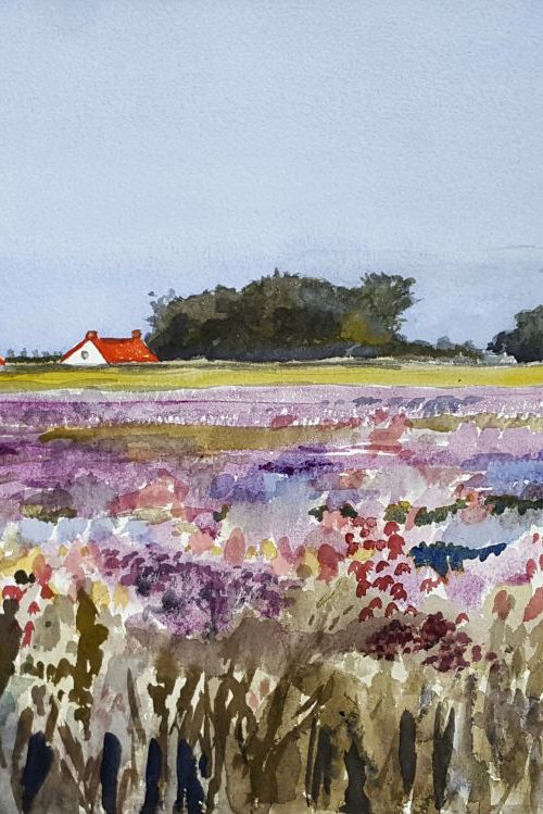 Field of Flowers by Morag Paul