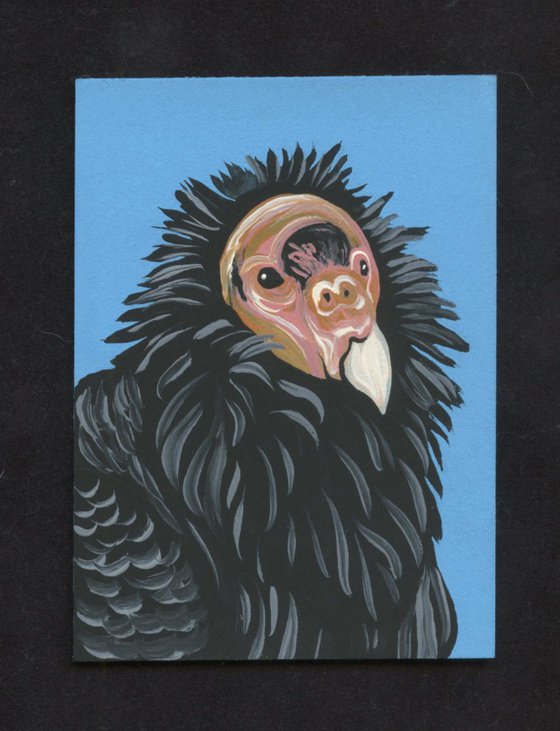 ACEO ATC Original Painting California Condor Wildlife Bird Art-Carla Smale